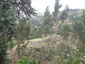 click: to enlarge - para ampliar